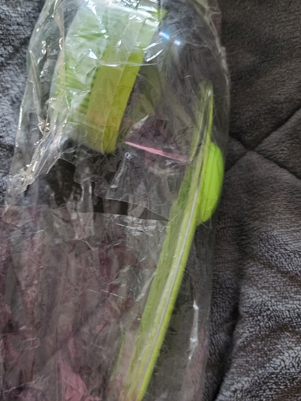 Green Animal Bathing Brush Brand New Still In Package